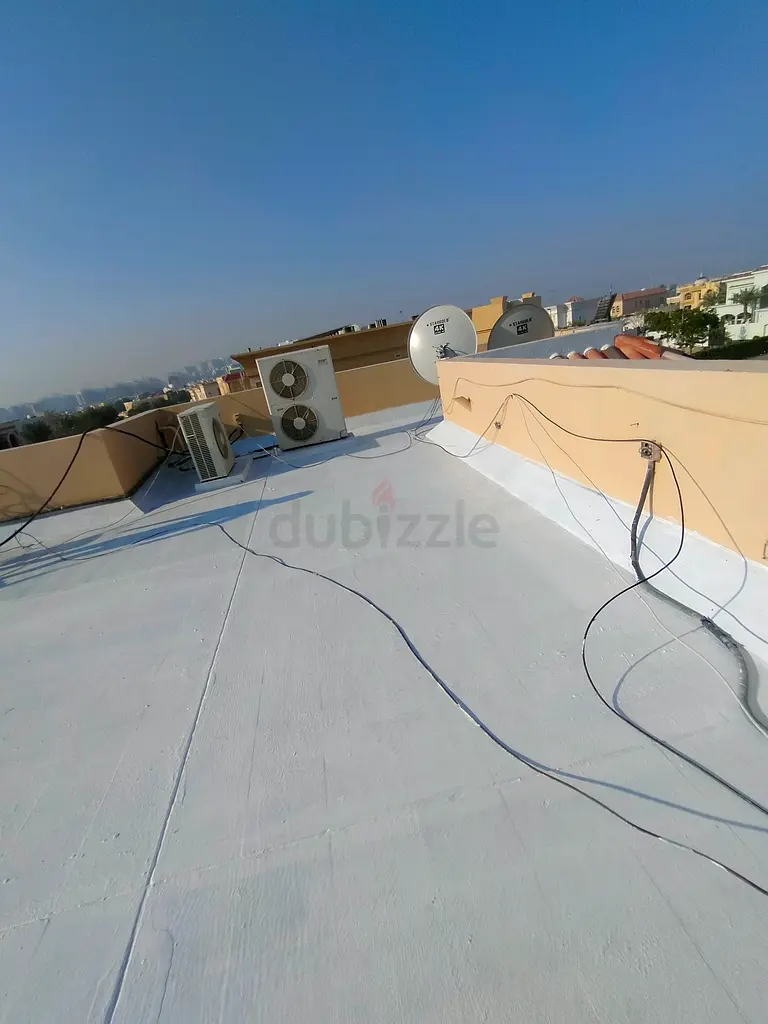 DPV_View_Image_2