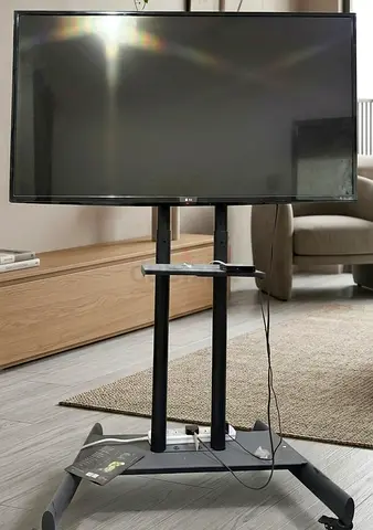 Modern Flat Panel TV on Stand