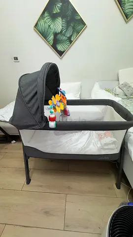 Cozy Baby Bassinet