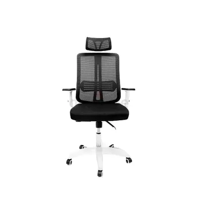 Ergonomic Office Chair with Lumbar Support