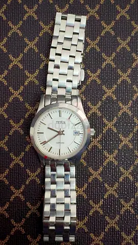 Titus Stainless Steel Watch