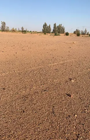 للبيع ارض في الصجعة الصناعية امارة الشارقة
