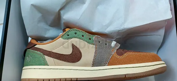 Air Jordan 1 Zion Voodoo