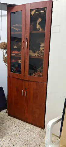 Wooden Cabinet with Glass Doors