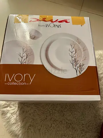 Elegant Ivory Collection Dinner Plates