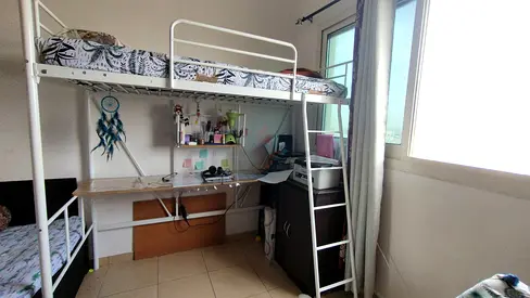 Loft Bed with Study Desk and Storage