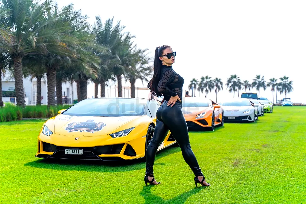 DPV_View_Image_8