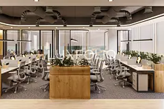 Exclusive | Canal View | Brand New Furnished