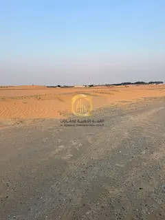 Land for sale in Blida 3, prime location near a mosque and park - freehold for Arab brothers