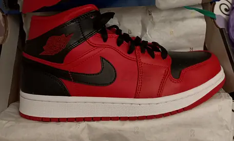 Air Jordan 1 Reverse BRED