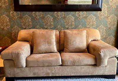 Comfortable 2- seater | Suede