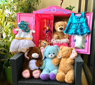 Build a Bear collection with wardrobe and clothes