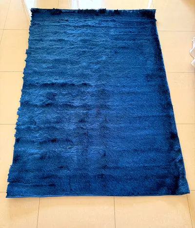 Sparkle shaggy carpet for sale