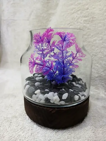 Bowl for Fighter/Betta fish