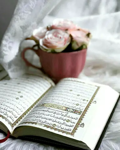 Quran learning platform