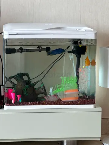 Aquarium with Colorful Decorations and Fish