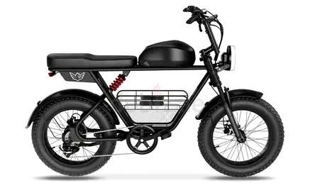 Wind Horse D5 Electric Bike - 1 Year Warranty