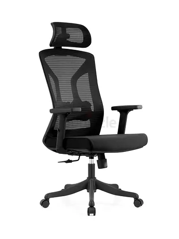 Ergonomic Office Chair with Adjustable Features