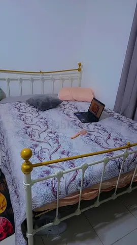 Elegant Metal Bed Frame with Mattress