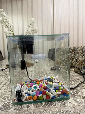 Aquarium Decoration and Gravel Set with pump and filter available (Price negotiable)