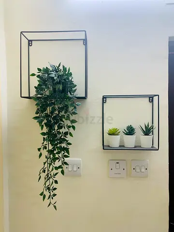Stylish Wall Planters for Modern Decor