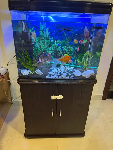 Aquarium with stand