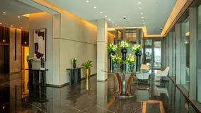 Amazing View | Shell and Core | SZR