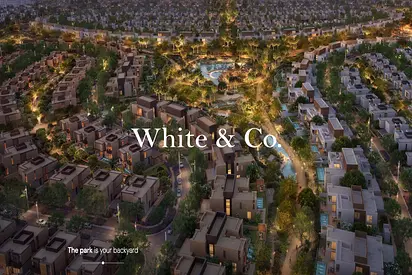 Single Row | Prime Location | Motivated