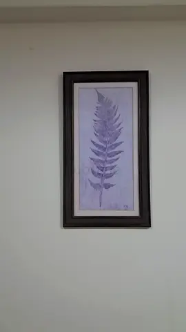 Framed Fern Artwork