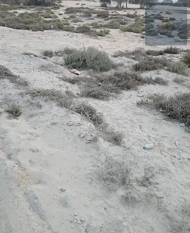 Industrial land for sale in Umm Al Thu'ub/Umm Al Quwain