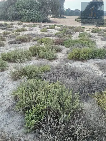Land for sale in Al Zahia / Ajman