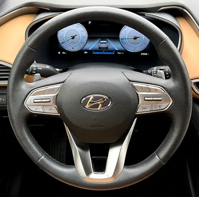 Hyundai Santa FE Calligraphy, миниатюра 8