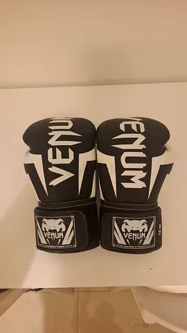 Venum Gloves 14oz.