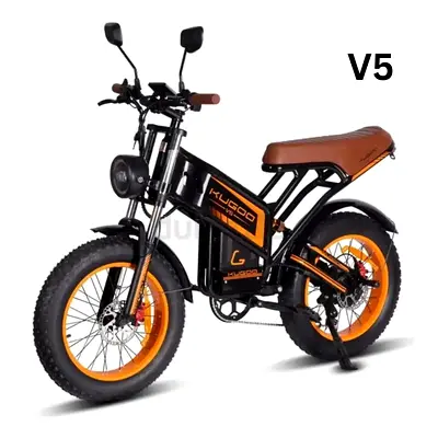 Kugoo V5 Electric Scooter