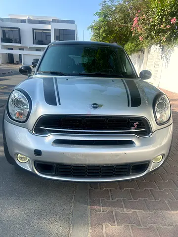 Mini countryman
