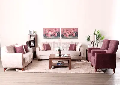 Elegant Living Room Furniture Set with sofa cum bed from Danube. Warranty is still valid