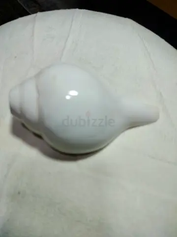 White Seashell Decorative Item