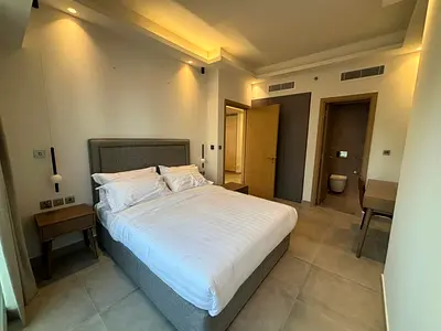 Brand New | Fully Furnished | Chiller Free | Vacant