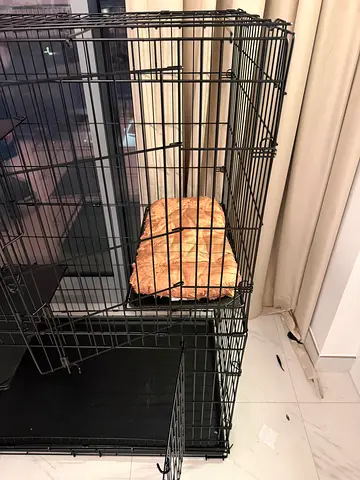 Animal/bird Cage