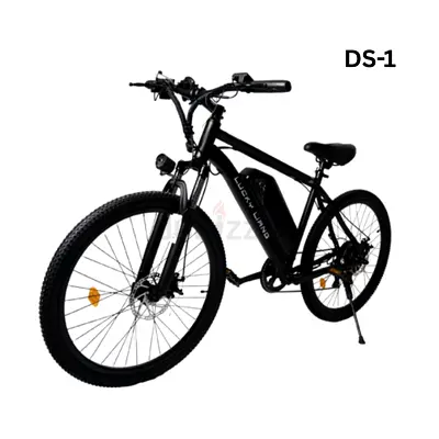 Electric Mountain Bike for Sale