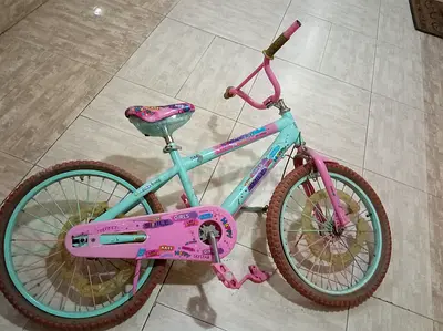 Pink and blue bicycle for girls age 11 to 14 urgent sale