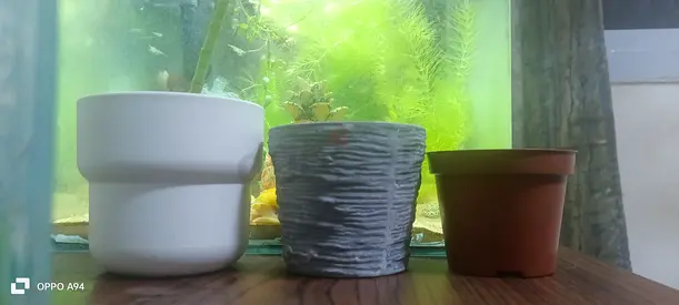 Set of 3 Decorative Flower Pots
