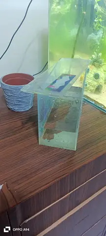 Acrylic Container for Aquatic Plants or Terrarium Decorations or aquarium