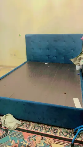 Cheap Queen Bed for Urgent sale (Home Box)