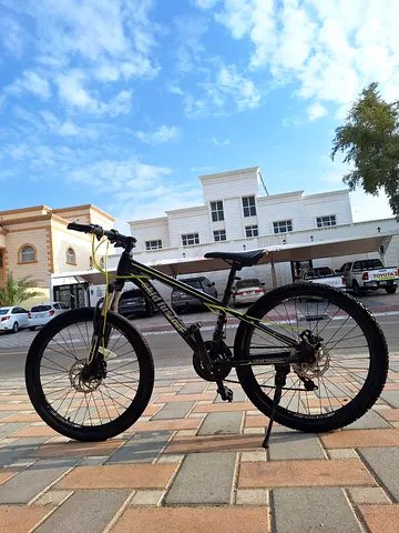 Mountain Sports Bicycle