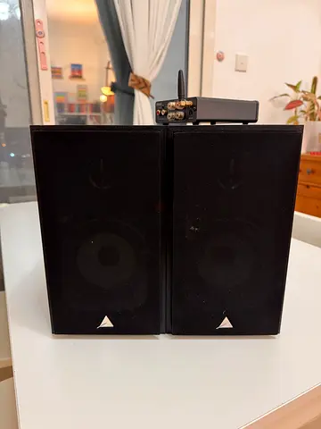 Triangle BR02 with fosi audio amp