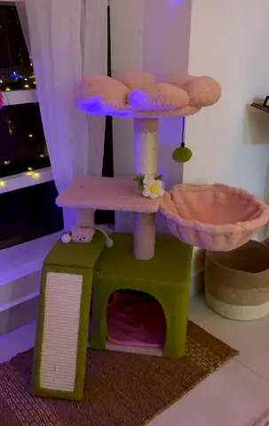 Cat tree and home