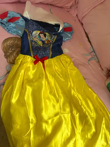 Disney Snow White Costume