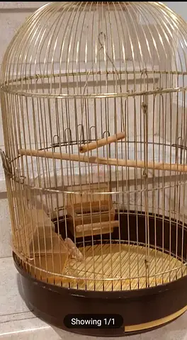 X LARGE Gold Bird Cage for Sale SIZE:40x40x70cm