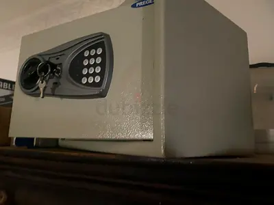 Pregex Security Safe